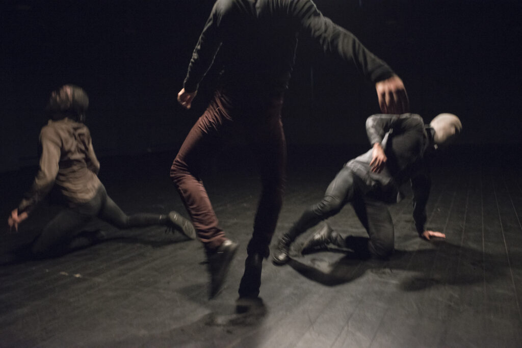 CocoonDance, Momentum